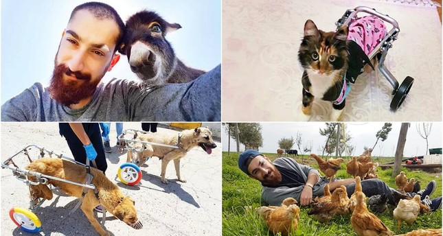 'Life Repairer' Helps Disabled Animals to Walk Again