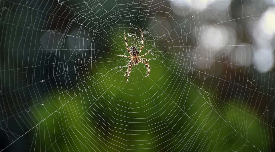 Al-Ankabut - The Spider - Heart Touching Quran