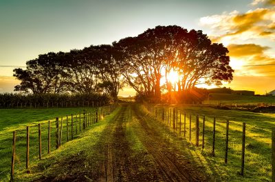 What is the Best Charity for My Deceased Parents