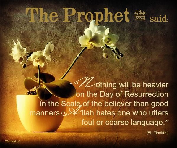 Bad Manners? Don't Pretend to Follow the Sunnah