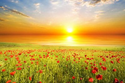 Khadijah & Muhammad: The Story of Love & Faith