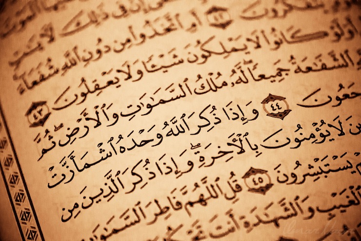 Why Did Prophet Muhammad Fight? - About Islam