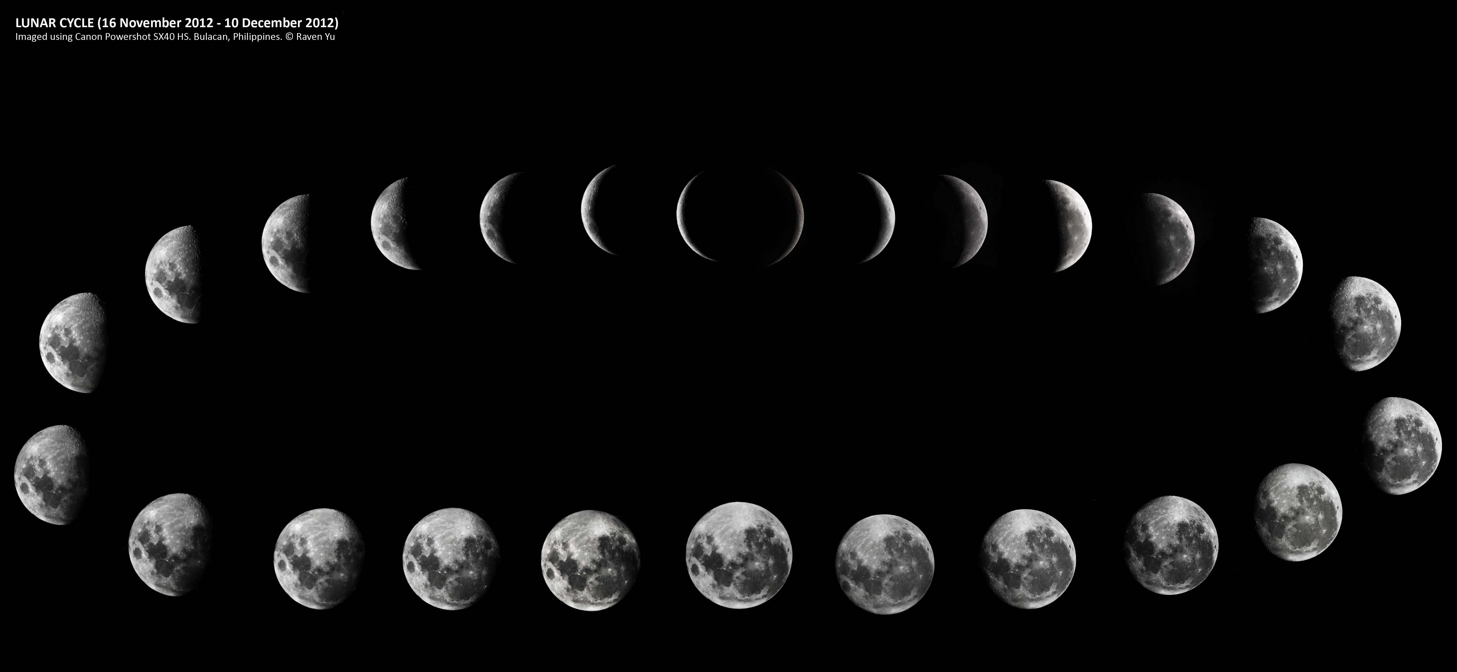 Moon Phases