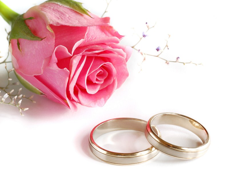 Need to Get Married, but I'm Still in College