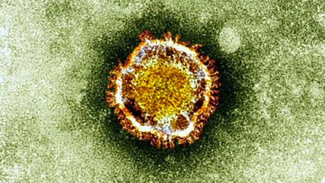 MERS-CoV