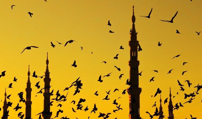 Defusing Civil War in Madinah (Story)