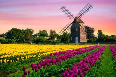 From Windmills to Minarets
