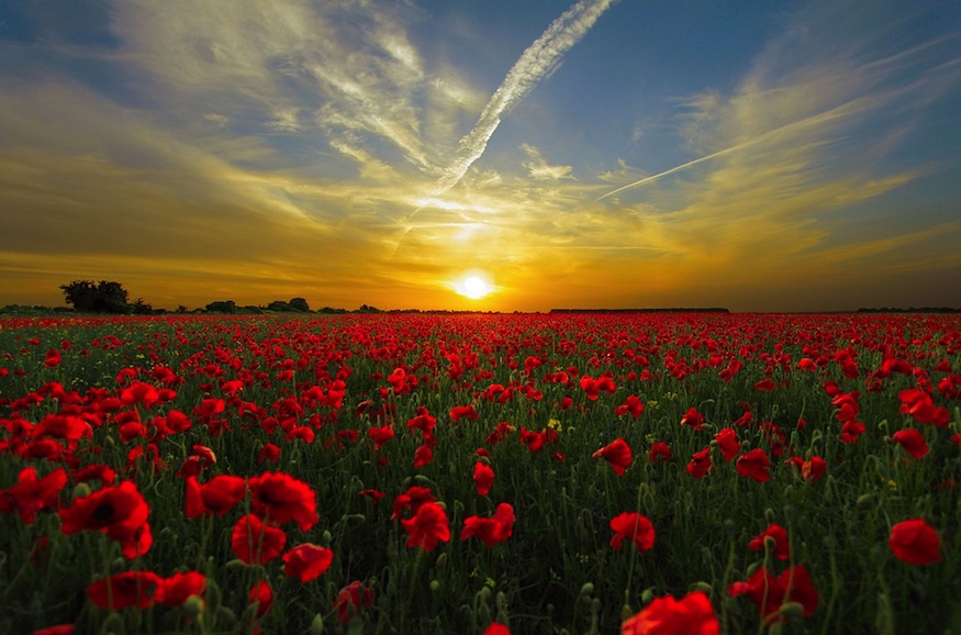If Islam Gives Inner Peace, Why Are Muslims So Angry? - About Islam