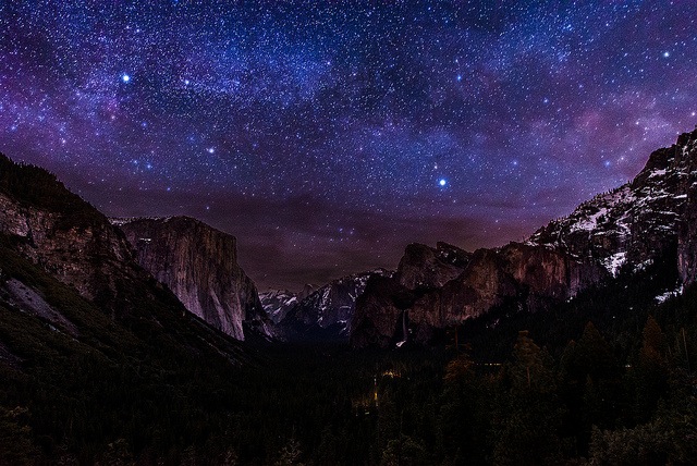 The Night Journey - Sometimes It Causes Me to Tremble
