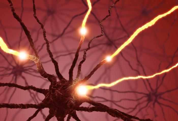 Serotonin
