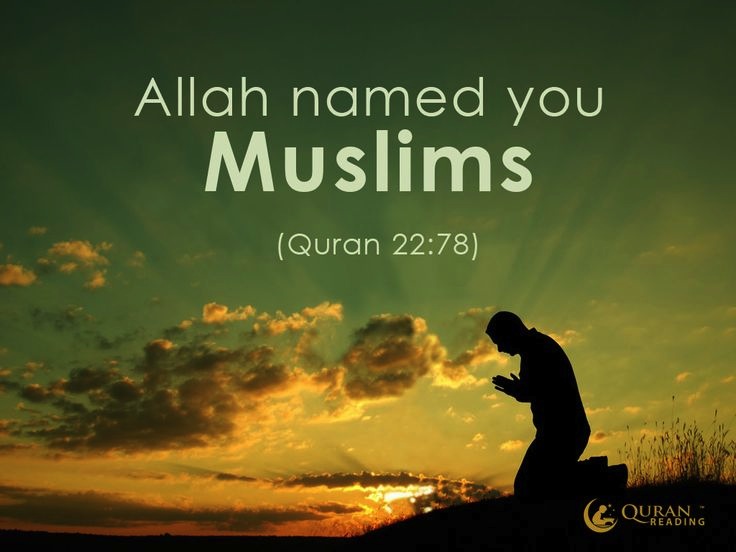 Questions About Quran's Revelation - About Islam