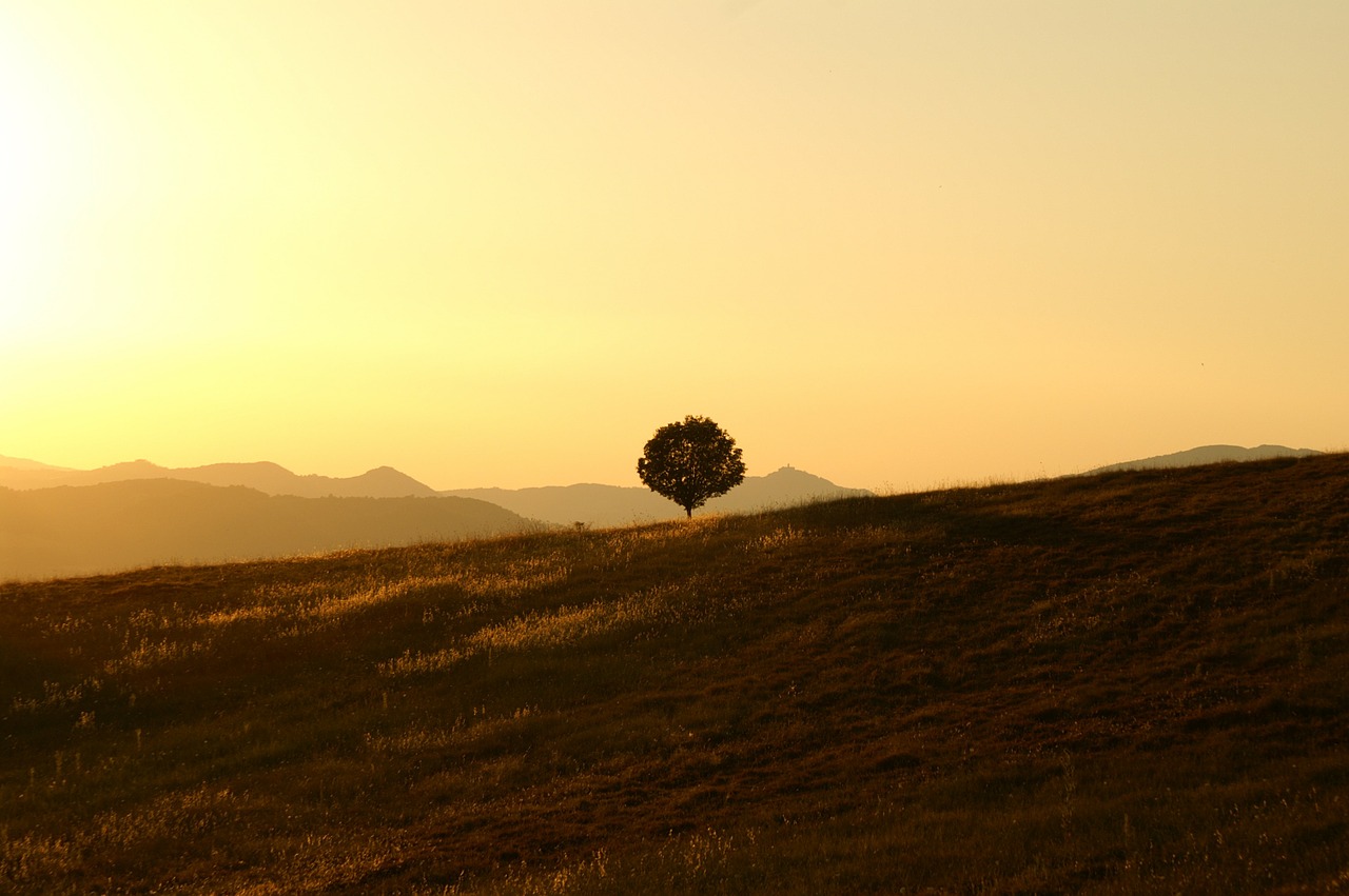 Will Allah Ask Us About Sins We Repented From