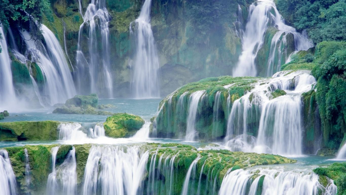 Are Everyone's Wishes Granted in Paradise