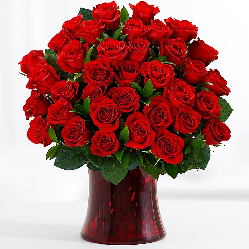 red roses