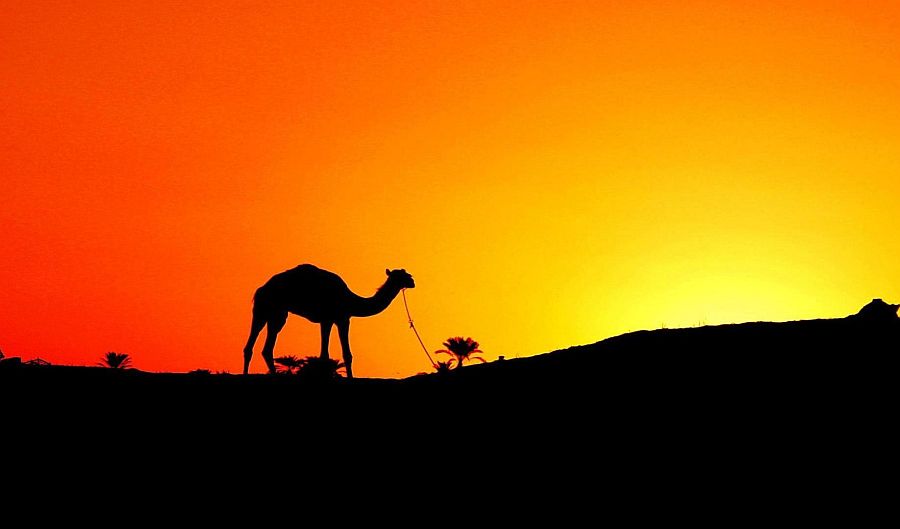 The Profitable Sale (Hijrah Story)