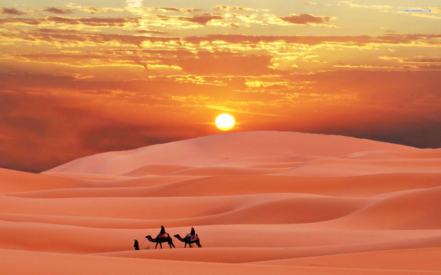 Prophet's Migration: What Happened During the Journey