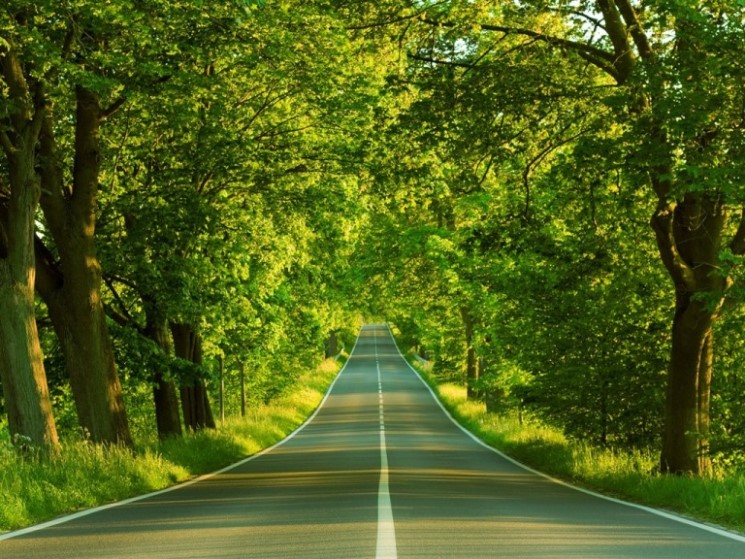 As Long As There is Life&hellip; There is Hope!