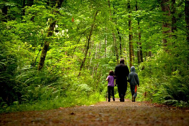 The Healing Power of Nature - A Psychological Take - About Islam