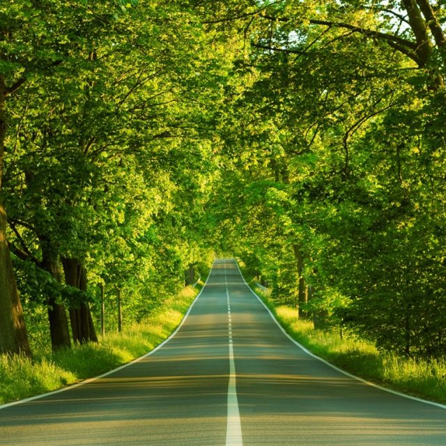 Will an Illegitimate Child Enter Paradise?