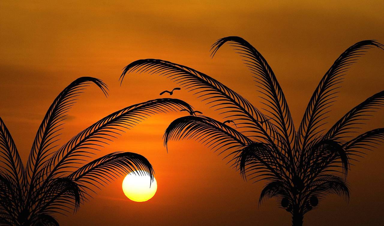 Stories of the Prophets: "I Am the Slave of Allah," Jesus (PBUH) Said
