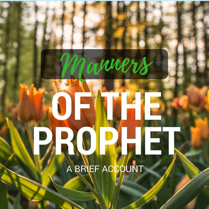 Manners Prophet
