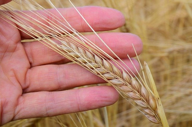 Tips to Develop Ithar (Selflessness)