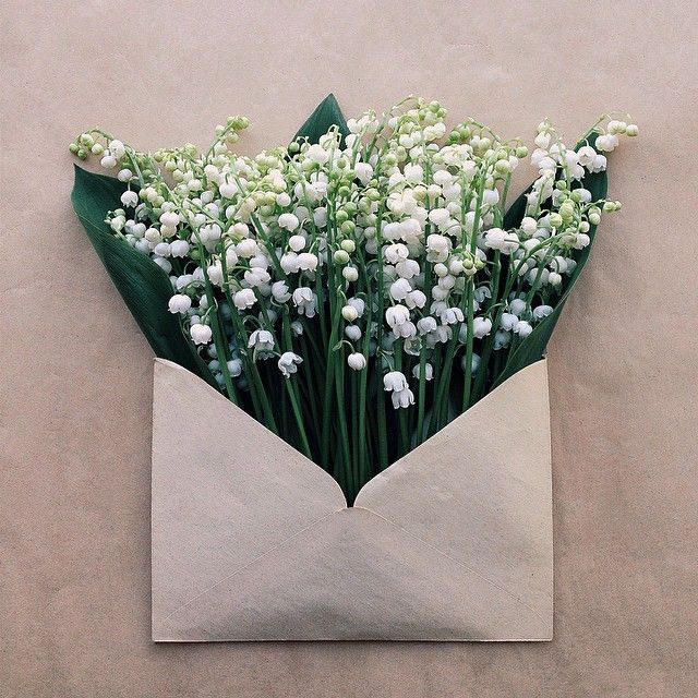 flowers-Is Dating a Married Woman Permissible in Islam?