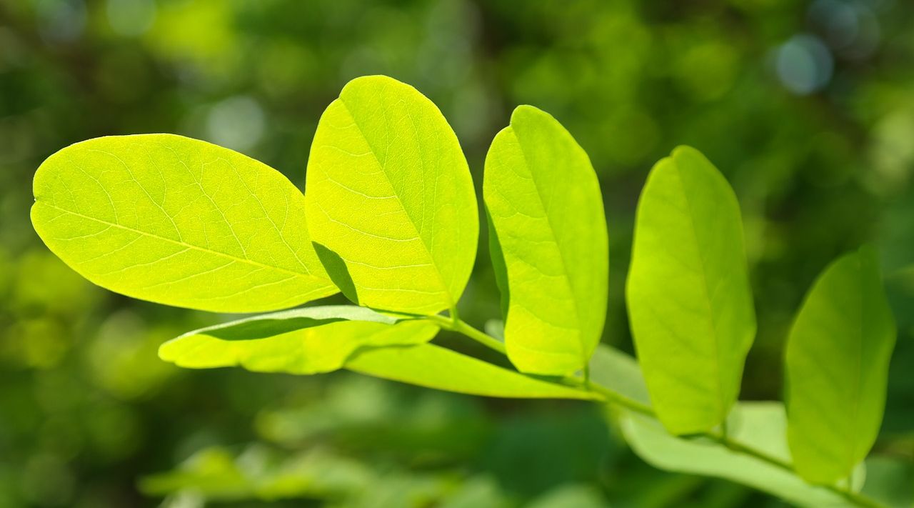 60+ Branches of Faith: How to Prioritize (Part 1)