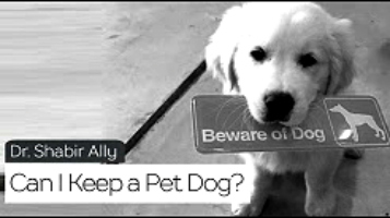 When Your Kids Ask for a Pet - About Islam