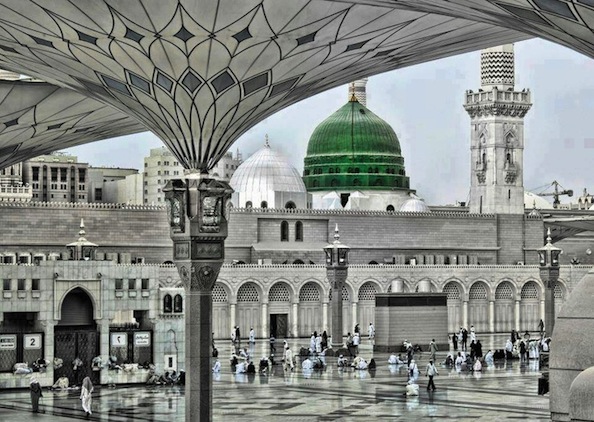 Glimpses of Wisdom from the Prophet's Life
