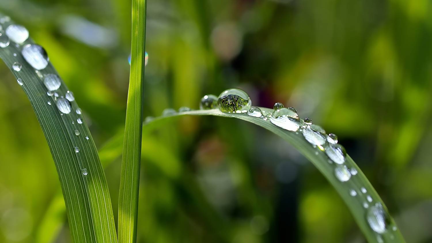 Heal Your Soul with Spiritual Posts (Collection #14)
