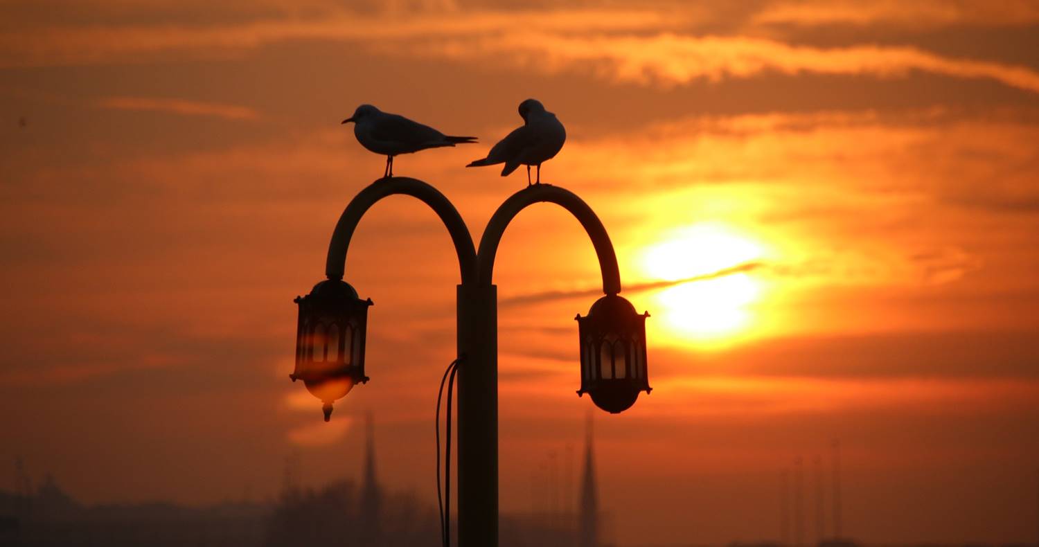 Would You Love to Have a Ramadan Extension?