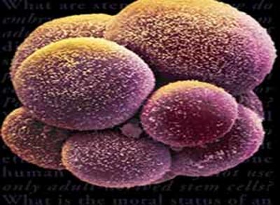 Revolution in Brain & Spinal Disease Treatment