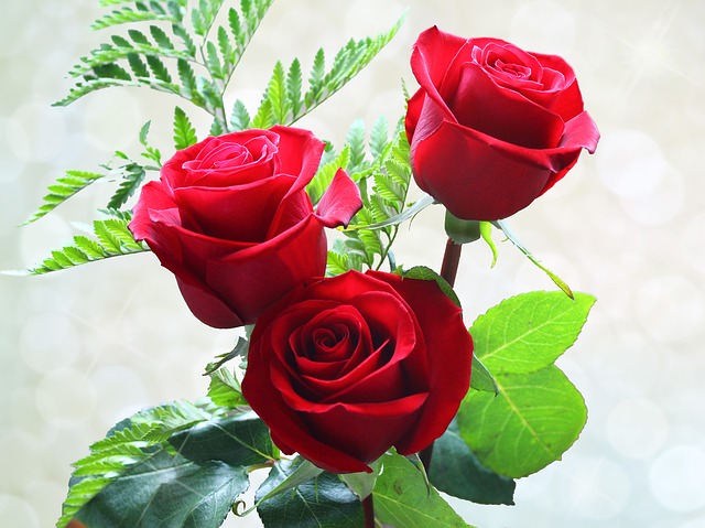 Flowers-Is Sex during Periods Allowed with a Condom in Islam?