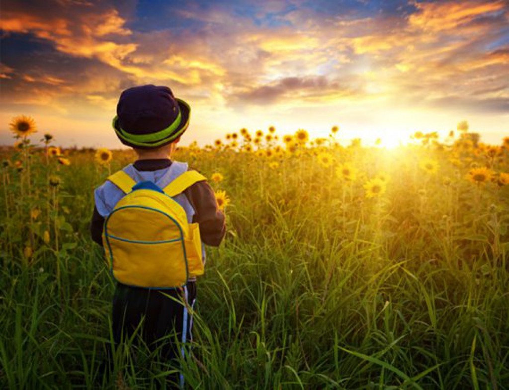 Homeschooling vs Public School: Which Is A Better Choice?