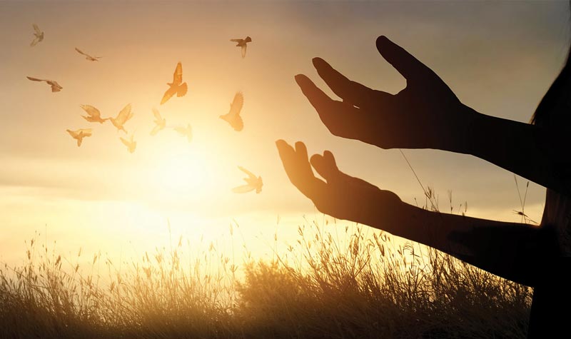 Spiritual Healthcare