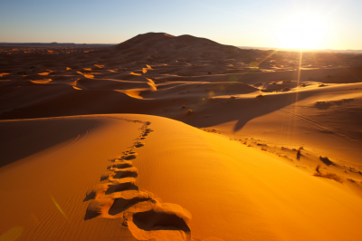 The Prophet & the Spider &ndash;The Story of Hijrah - About Islam