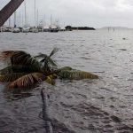 Harvey & Irma Devastate Caribbean Economy