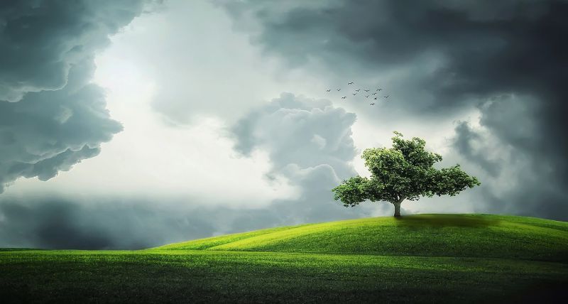 6 Messages for Reflection in Surat Yasin
