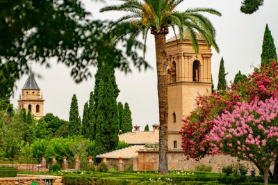Why Did Islamic Civilization Decline