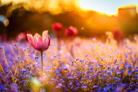 God Loves Beauty in All its Forms