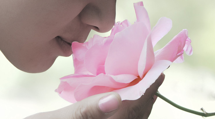 Scent
