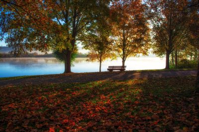How to Feel God&rsquo;s Peace in This Life