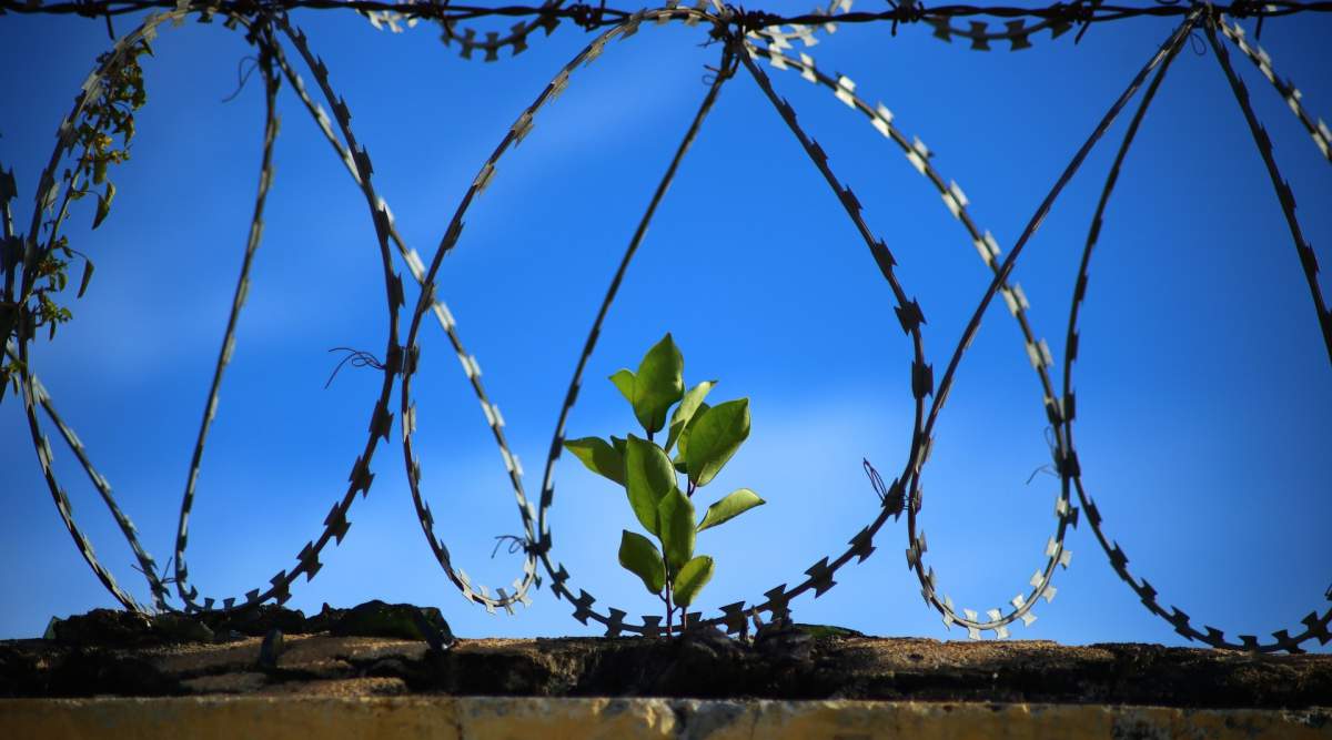 When a Prophet Is Jailed.... How Prophet Yusuf (PBUH) Coped