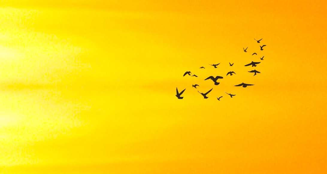 Why Did the Prophet Call His Companions to Gather?