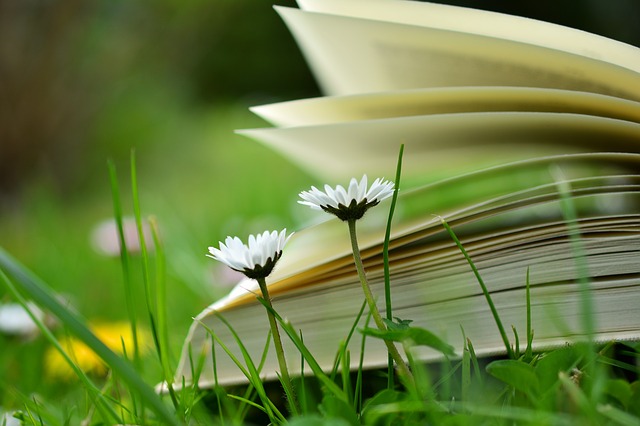 The Life of the Last Prophet (Book Review by Imam Bradford)