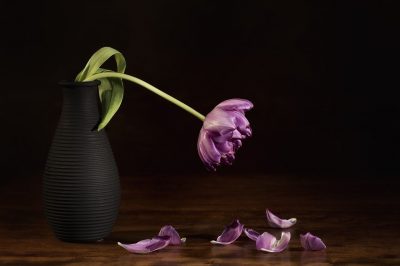 The Silent Marriage Killer Couples Should Know