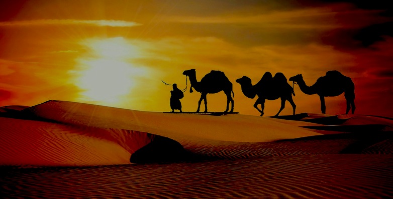 Did the Prophet Cause the Battle of Badr? (In Depth)