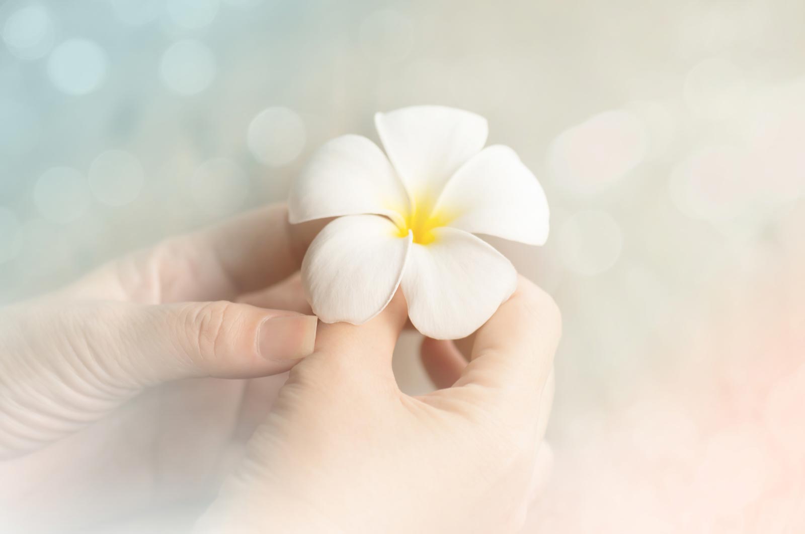 Stories of Forgiveness in Ramadan