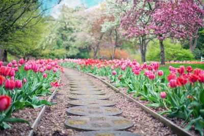 Find a Gardener for Your Soul